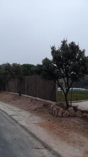 WhatsApp Image 2020-02-18 at 11.46.44 (1)