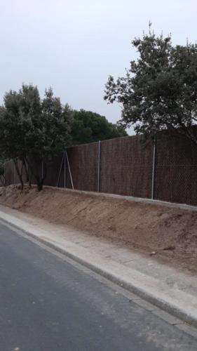 WhatsApp Image 2020-02-18 at 11.46.44 (2)