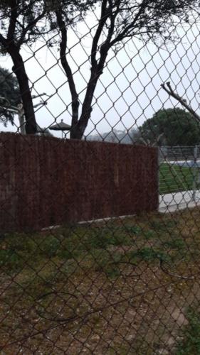 WhatsApp Image 2020-02-18 at 11.46.45