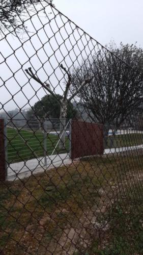 WhatsApp Image 2020-02-18 at 11.46.45 (1)